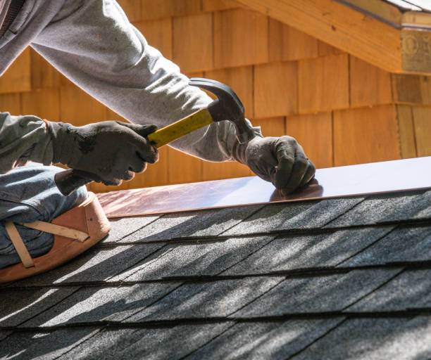 Best Storm Damage Roof Repair  in Amboy, IL